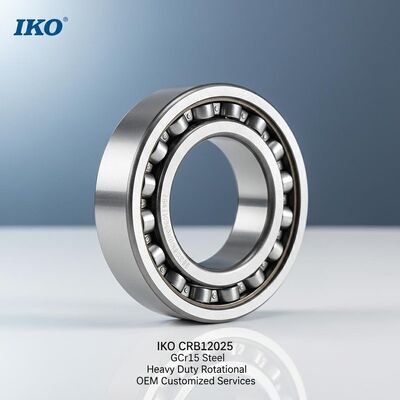 IKO CRB12025 Xích vòng bi với thép GCr15 cho các ứng dụng xoay nặng và dịch vụ tùy chỉnh OEM